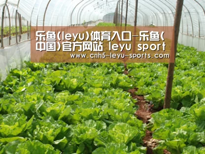 种植基地五