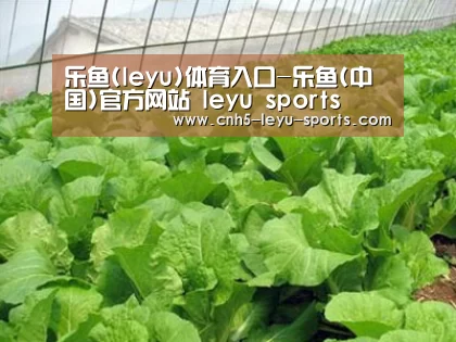 种植基地一