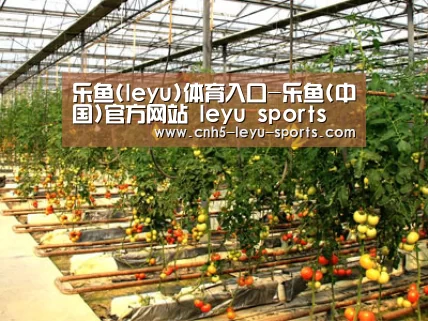 种植基地二