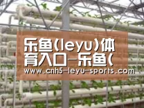 环境展示六
