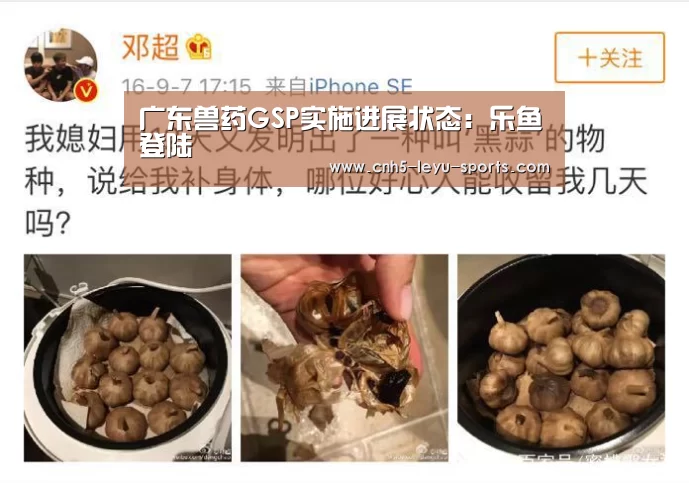乐鱼体育