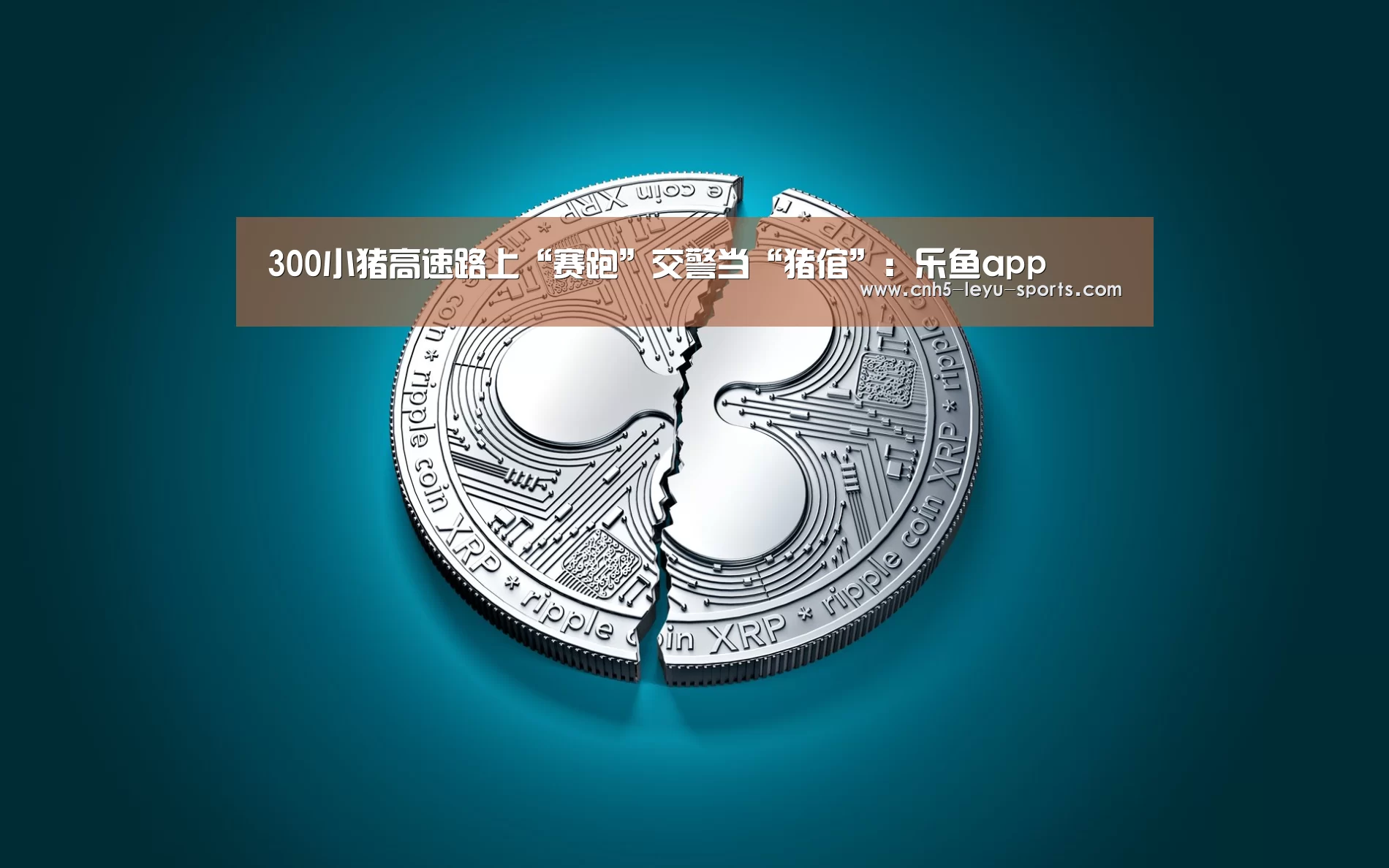 300小猪高速路上“赛跑”交警当“猪倌”:乐鱼app(图1) 乐鱼体育