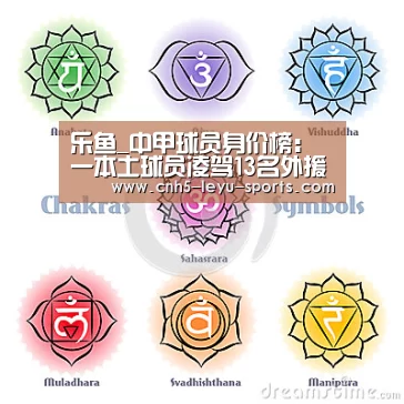 乐鱼登陆