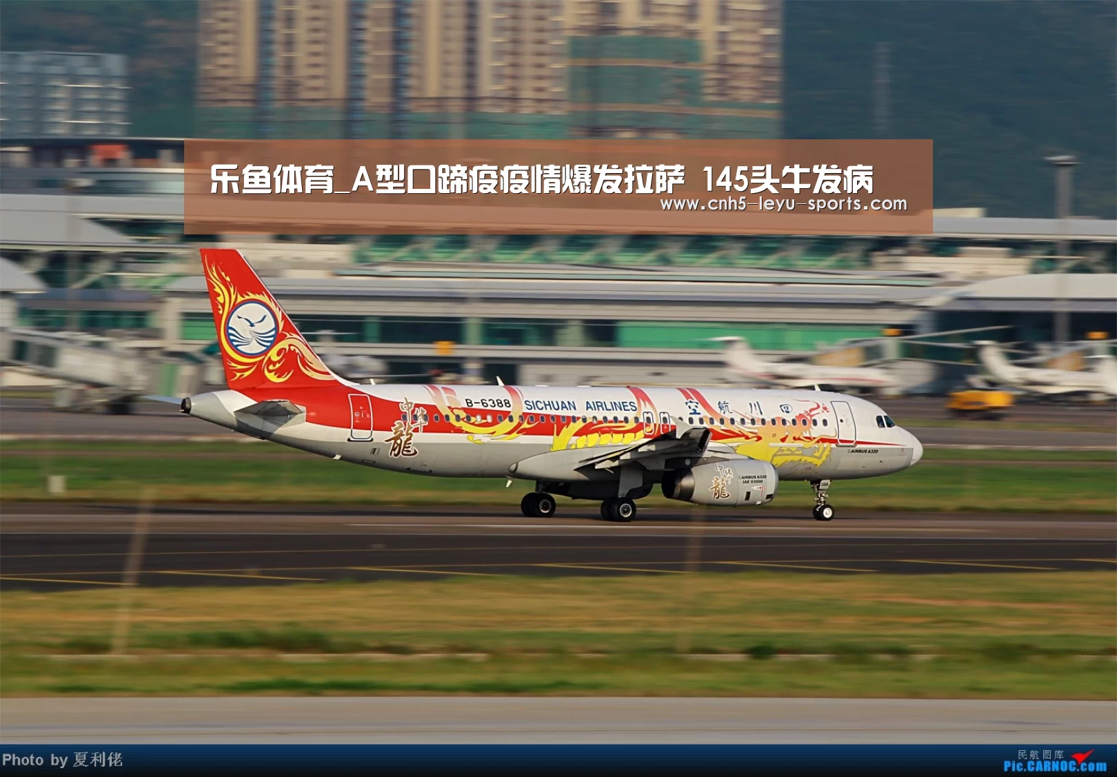 乐鱼app
