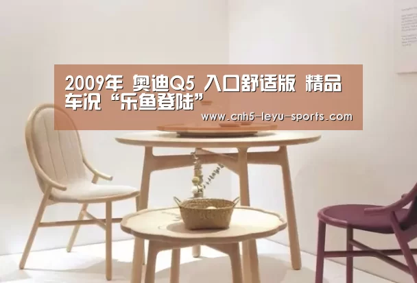 2009年 奥迪Q5 入口舒适版 精品车况“乐鱼登陆”(图7) 乐鱼
