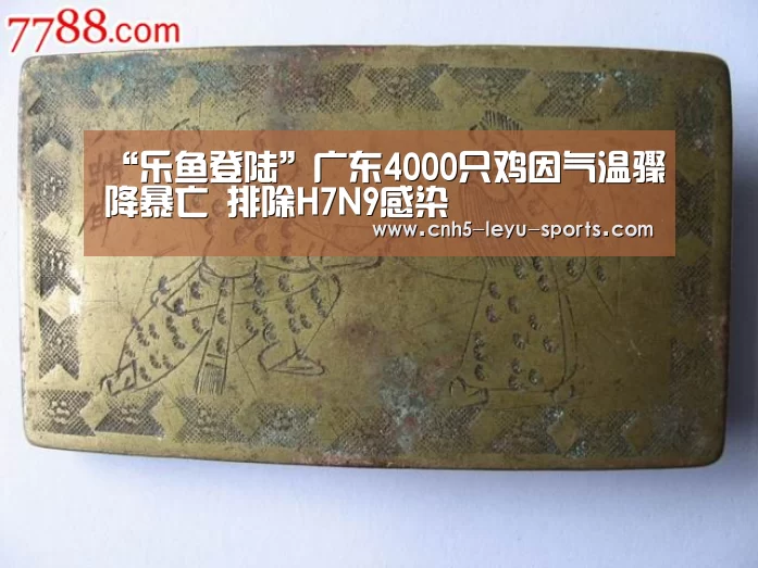 “乐鱼登陆”广东4000只鸡因气温骤降暴亡 排除H7N9感染(图2) 乐鱼