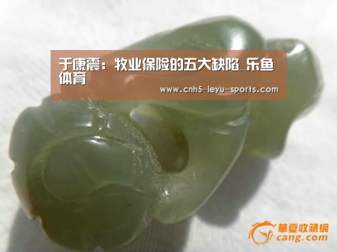 于康震:牧业保险的五大缺陷_乐鱼体育(图3) 乐鱼app