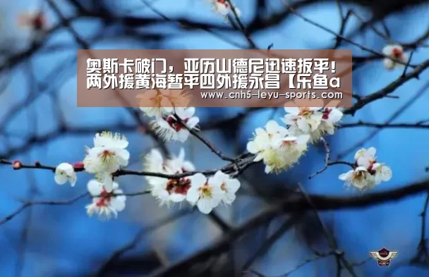 奥斯卡破门,亚历山德尼迅速扳平!两外援黄海暂平四外援永昌【乐鱼app】(图3) 乐鱼体育