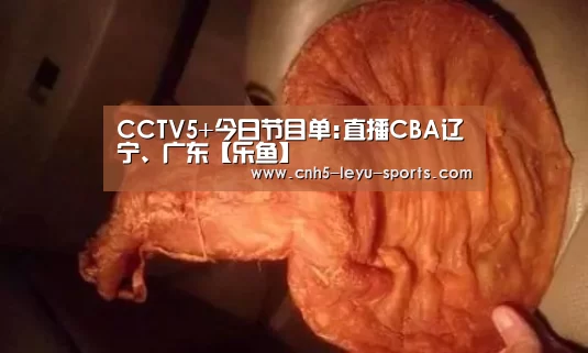 乐鱼体育