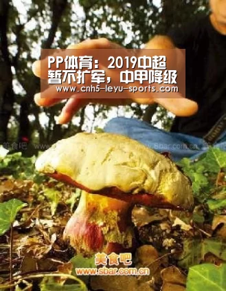 PP体育:2019中超暂不扩军,中甲降级名额增至2.5个!:乐鱼体育(图2) 乐鱼登陆