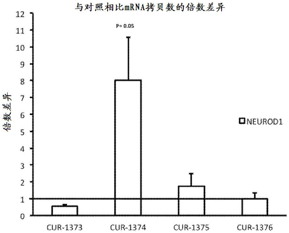 乐鱼_
梅县中冠新球队名单水落石出 将在年底打击中乙参赛资格(图2) 乐鱼