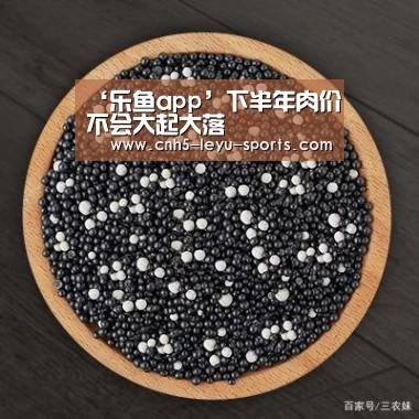 乐鱼app