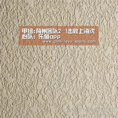 甲组:梅州客队2-1击败上海沈心队:乐鱼app(图2) 乐鱼登陆