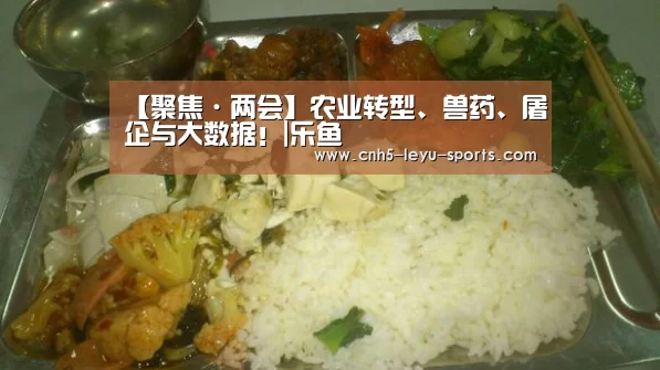 【聚焦·两会】农业转型、兽药、屠企与大数据!|乐鱼(图1) 乐鱼登陆