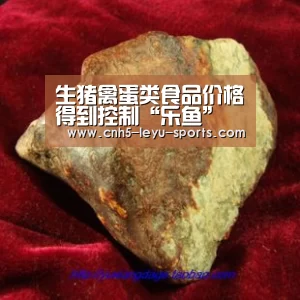 乐鱼app