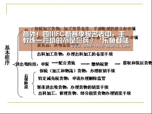 乐鱼app