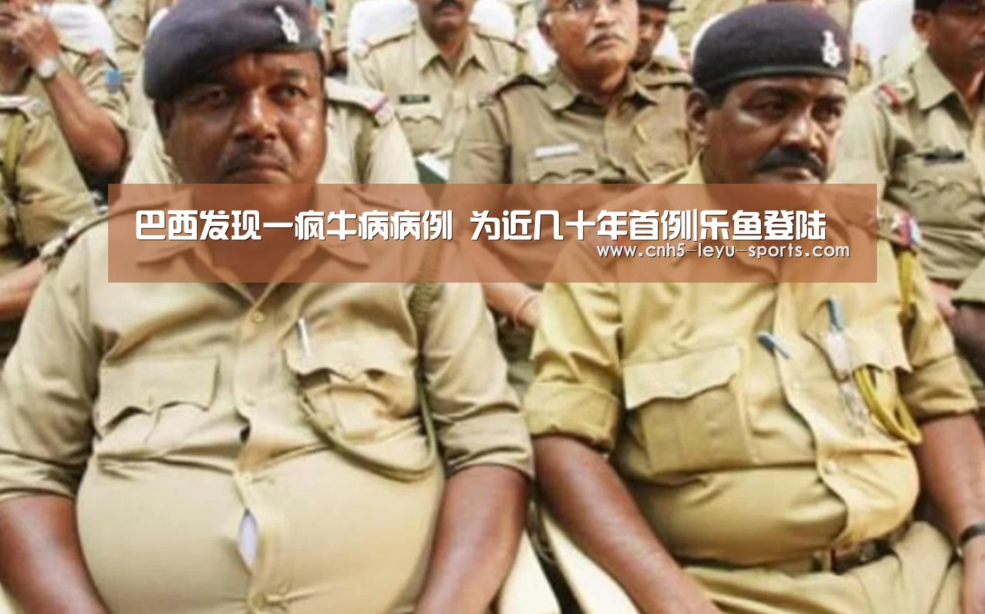 巴西发现一疯牛病病例 为近几十年首例|乐鱼登陆(图2) 乐鱼