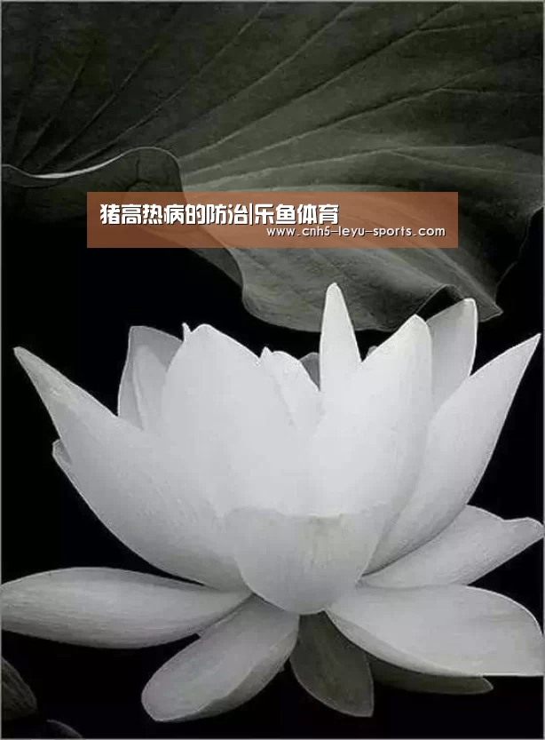 乐鱼体育