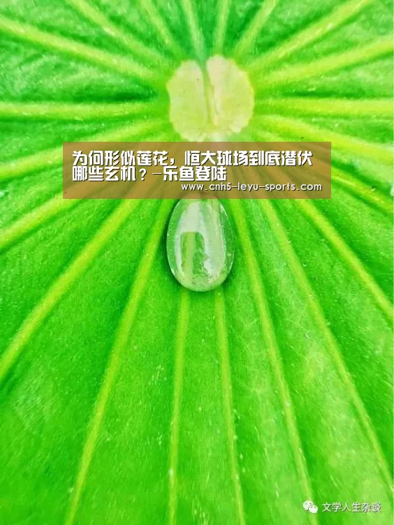 为何形似莲花,恒大球场到底潜伏哪些玄机?-乐鱼登陆(图1) 乐鱼app